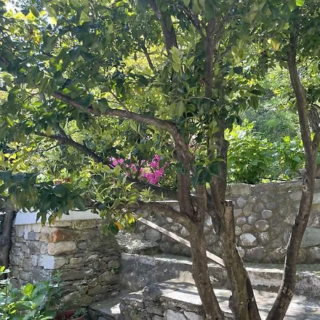 Casa de hóspedes Archontiko Iatridis 3*